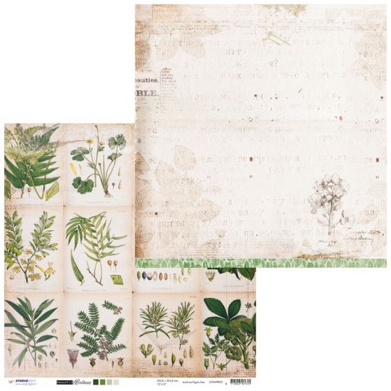 Coala hartie cu 2 fete diferit imprimate, 30,5 x 30,5 cm - Romantic Botanic SCRAP RB03