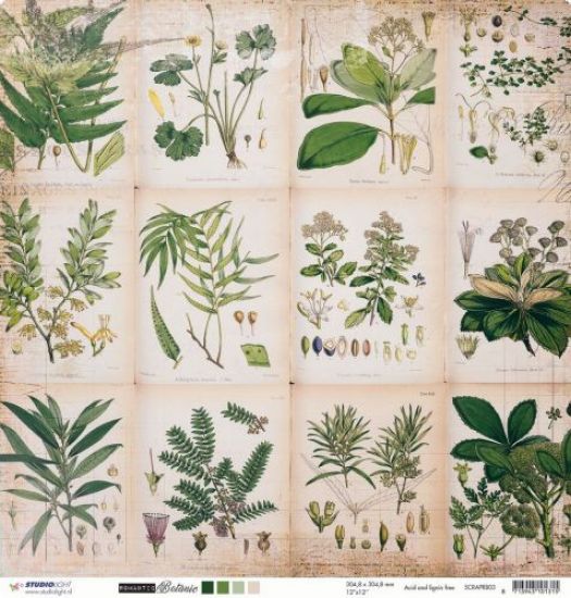 Coala hartie cu 2 fete diferit imprimate, 30,5 x 30,5 cm - Romantic Botanic SCRAP RB03