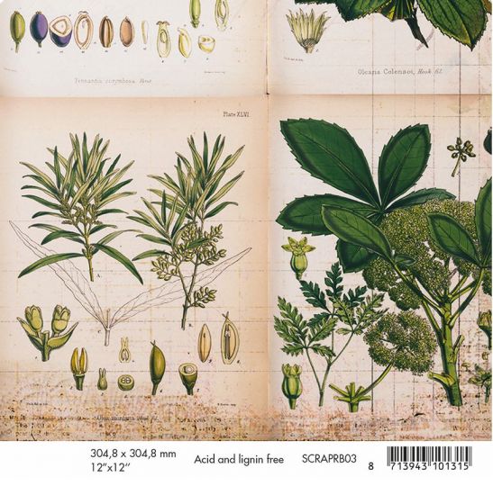 Coala hartie cu 2 fete diferit imprimate, 30,5 x 30,5 cm - Romantic Botanic SCRAP RB03