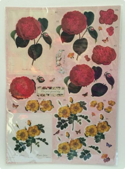 Revista Creativity nr. 49 - cu 3 cadouri utile in proiecte hand made