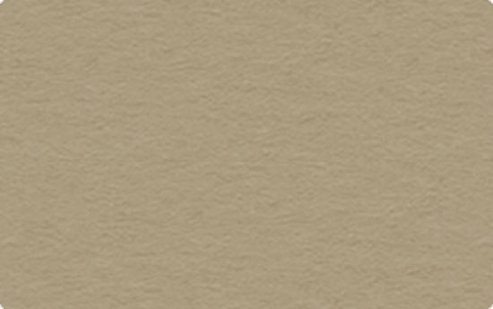Carton uni 130 g/m2 - Taupe