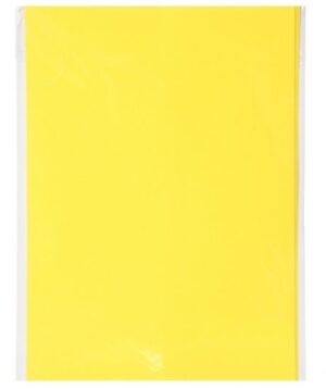 Set 6 coli A5 carton 180 g/m2 - Sun Yellow