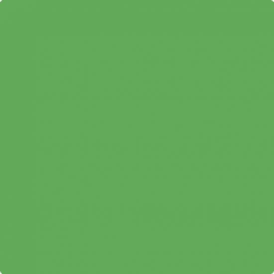 Set 6 coli A5 carton 180 g/m2 - Grass Green
