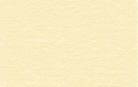 Carton uni 130 g/m2 - Chamois