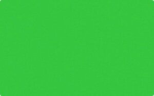 Carton uni 130 g/m2 - Fir Green