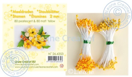 Set 80 + 80 stamine cu cap de 2 mm, pentru flori - Yellow matt & pearl