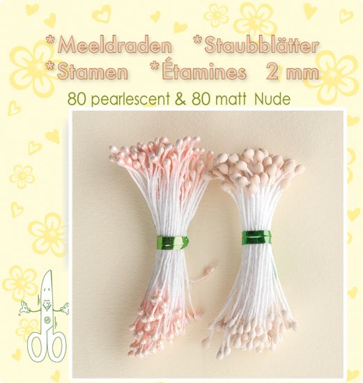 Set 80 + 80 stamine cu cap de 2 mm, pentru flori - Nude matt & pearl