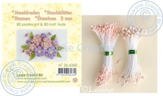 Set 80 + 80 stamine cu cap de 2 mm, pentru flori - Nude matt & pearl