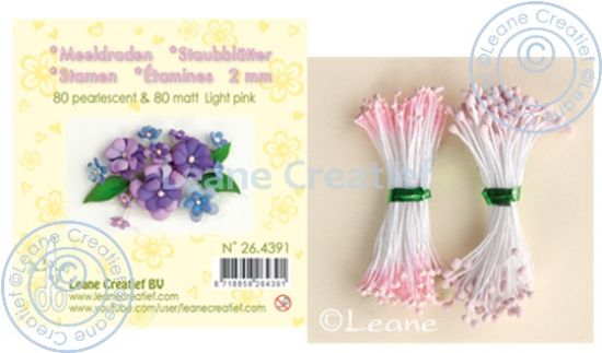 Set 80 + 80 stamine cu cap de 2 mm, pentru flori - Light Pink matt & pearl