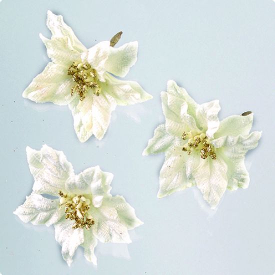 Set 8 flori craciunite albe