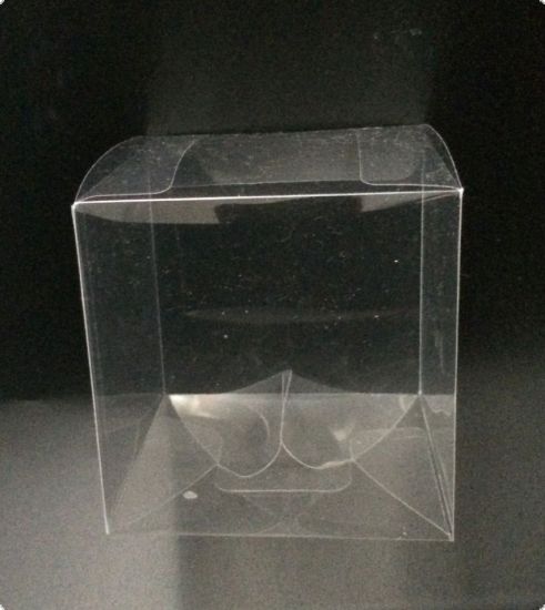Cutie din plastic transparent, cub