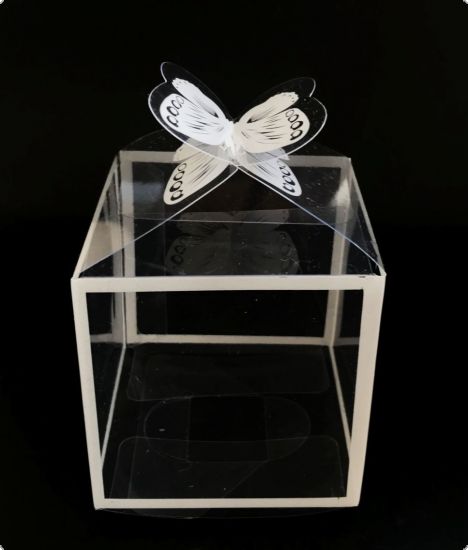 Cutie din plastic transparent, inchidere fluture