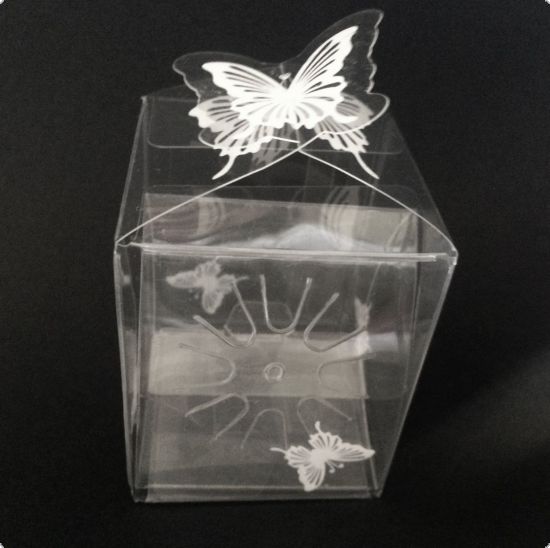 Cutie din plastic transparent, inchidere fluture si suport interior pentru brose