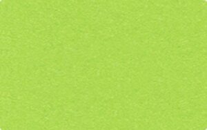 Fotocarton colorat uni, 300 g/m2 - Tropical Green