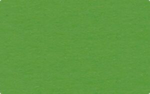 Fotocarton colorat uni, 300 g/m2 - Lime Green
