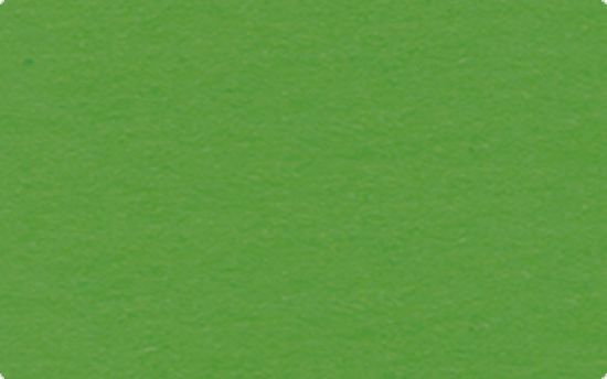 Fotocarton colorat uni, 300 g/m2 - Lime Green