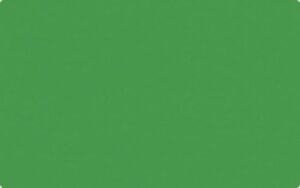 Fotocarton colorat uni, 300 g/m2 - Fir Green