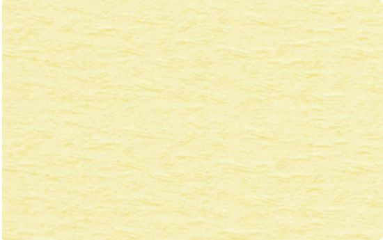 Carton uni embosat, 220 g/m2 - Chamois
