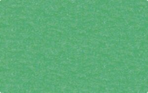 Carton uni embosat, 220 g/m2 - Tropical green