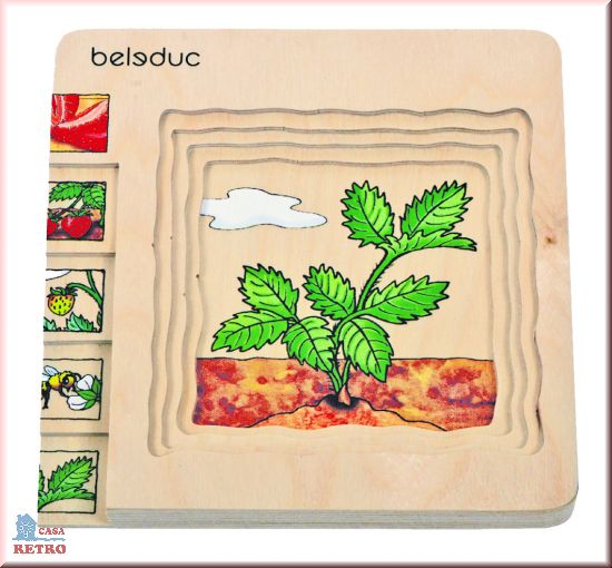 Puzzle in 4 etaje - evolutia capsunei