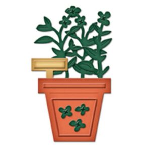 Set 8 matrite - Sage
