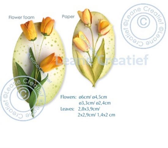 Set 8 matrite Leabilitie Multi die Flower cut & embossing - Tulip 3D