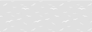 Hartie A4 transparenta cu model, 115 g/m2 - White line - Birds