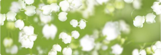 Hartie A4 transparenta cu model, 115 g/m2 - Flora - Lily of Valley