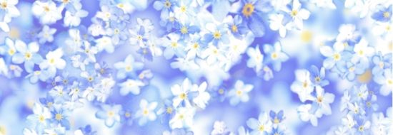 Hartie transparenta cu model, 115 g/m2 - Flora - Forget-me-not