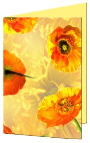 Fotocarton A4 cu 2 fete imprimate, 300g - Flora - Poppy