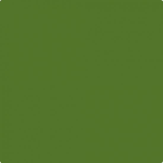 Vopsea Katrien's - olive green
