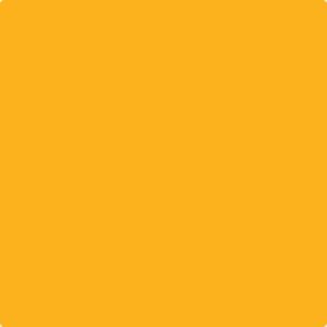 Pudra Efcolor opac - galben auriu