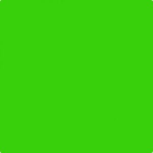 Pudra Efcolor opac - verde deschis
