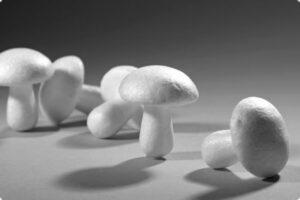 Set 6 ciuperci din polistiren, 4 cm
