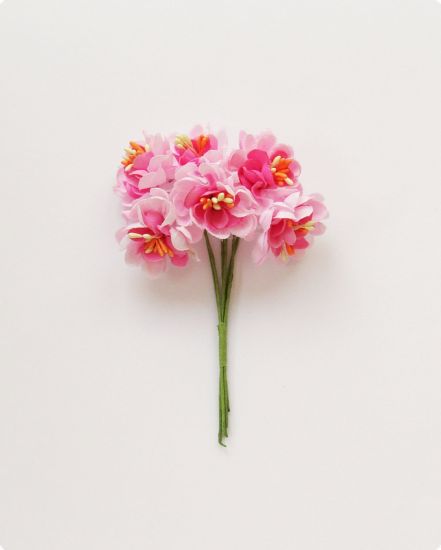 Buchet 6 flori cu stamine - roz degrade