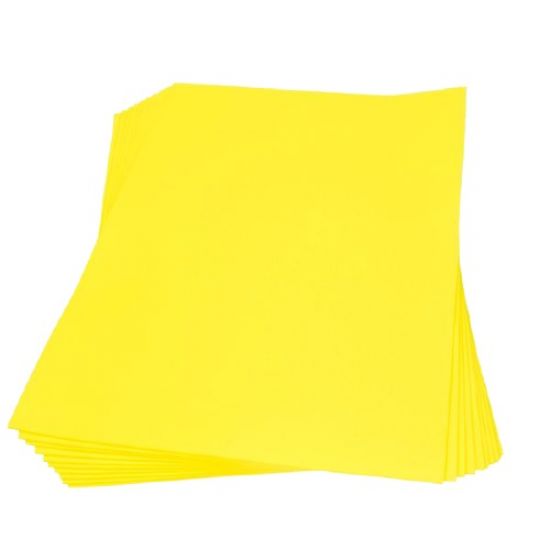 Coala spuma 30,5 x 21,5 cm, fara adeziv, grosime 1 mm, Flower Foam - Galben neon 12