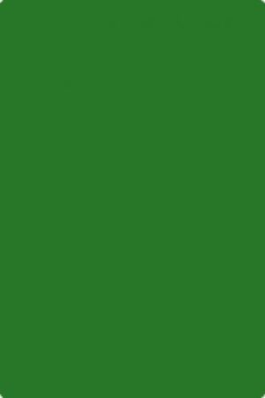 Coala de carton colorat in masa, 135 g/m2 - Leaf Green