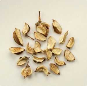 Coji decorative de seminte, sferturi cu miez