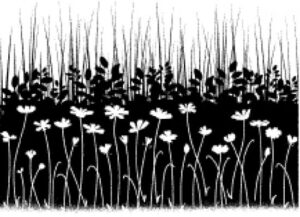 Stampila cauciuc - Wildflower Field