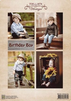 Coala hartie A4 lucioasa imprimata -Birthday Boy