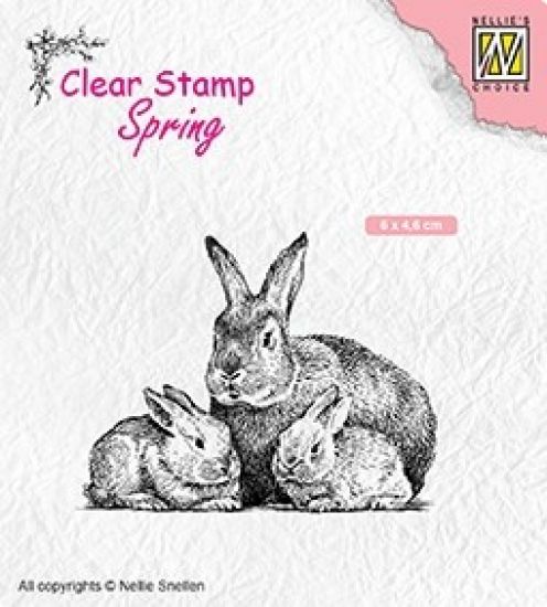 Stampila din silicon - Spring - Rabbit family