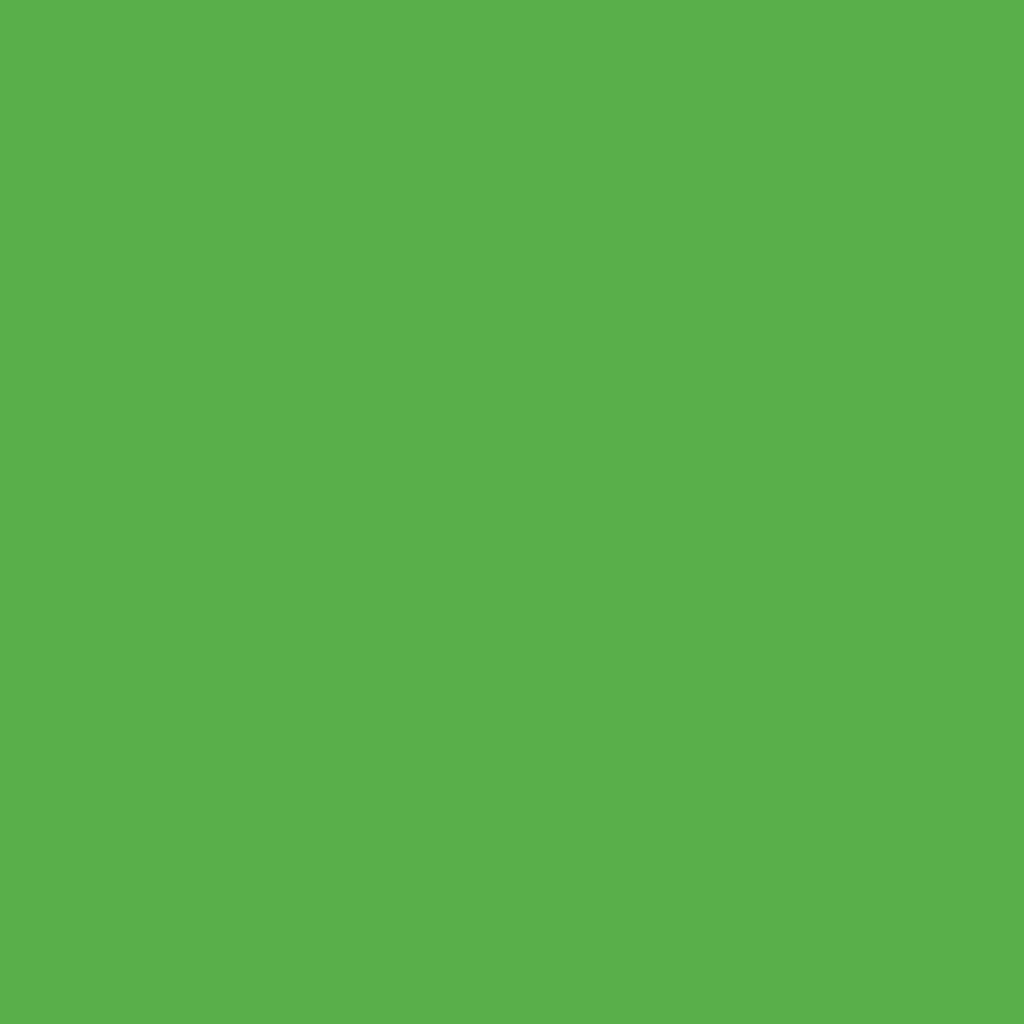 Set 6 coli A4 carton 180 g/m2 - Grass Green - imagine 2