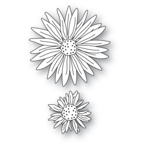 Matrita doua flori, Layered Daisies