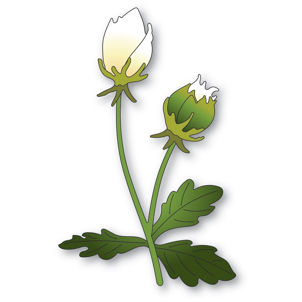 Matrita 2 boboci flori de anemone cu tulpini si frunze, Anemone Bud Duo