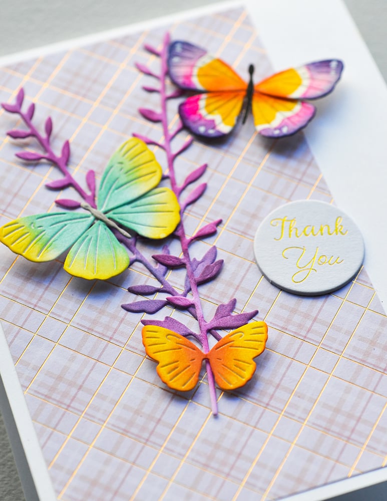 Matrita cu 5 fluturi, Exquisite Butterflies