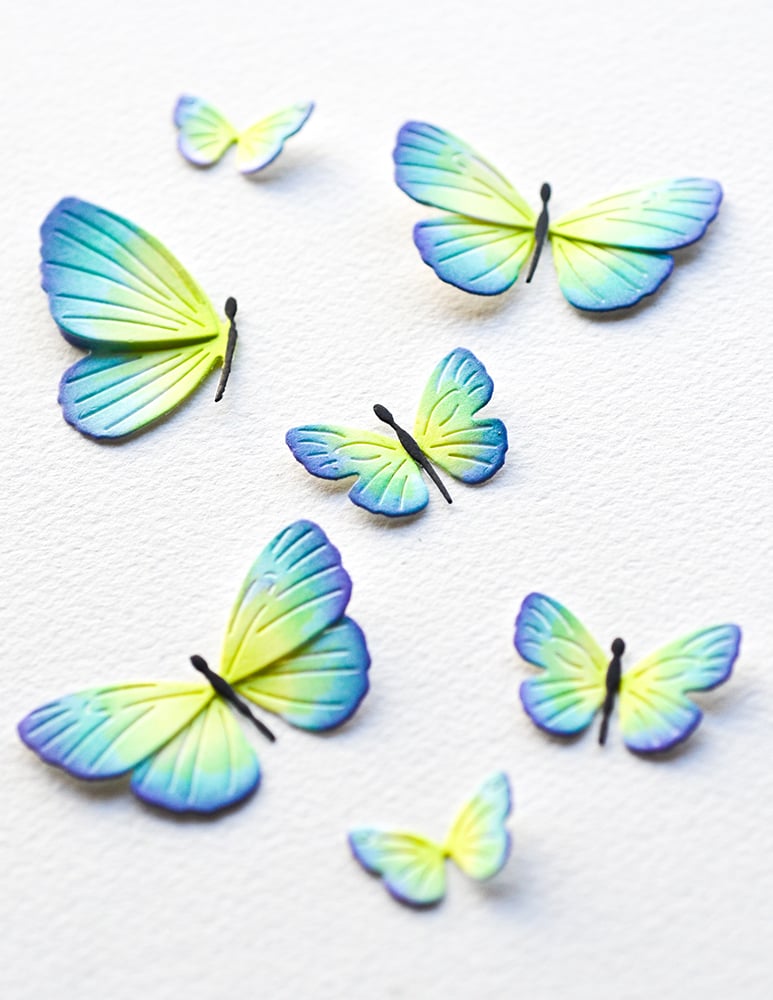 Matrita cu 5 fluturi, Exquisite Butterflies