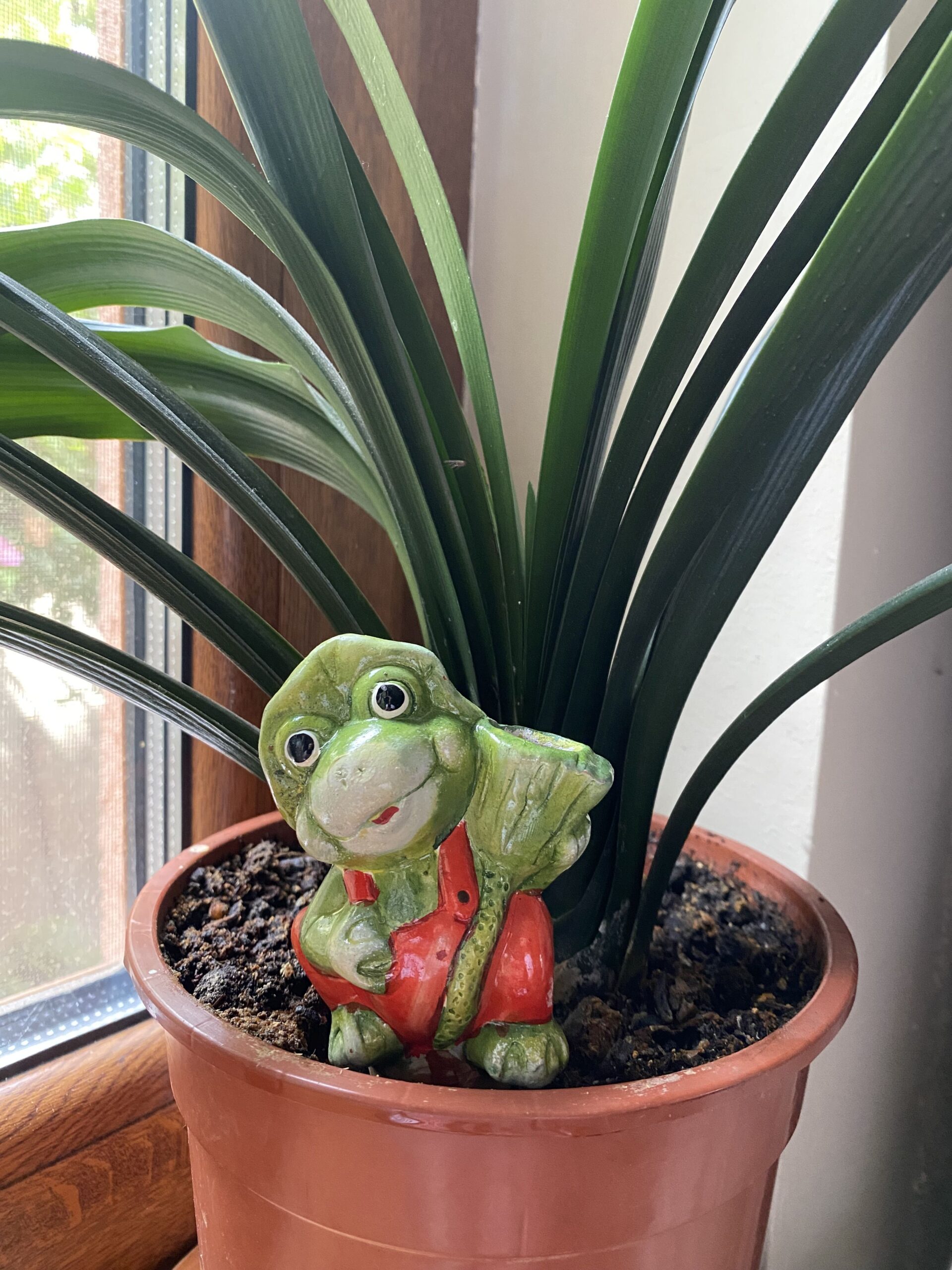 Set 4 suporti din ceramica, autoudare plante in ghiveci, broscute cu palariuta verde - imagine 5
