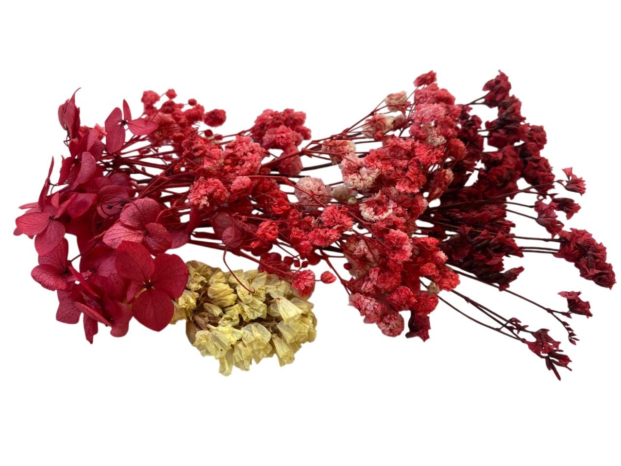Flori naturale uscate, gama rosu - rosu inchis - imagine 4
