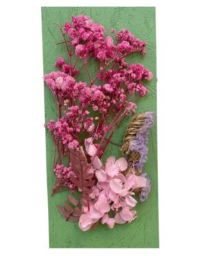 Flori naturale uscate, gama roz pastel - roz intens
