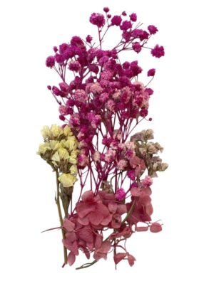 Flori naturale uscate, gama roz - ciclam
